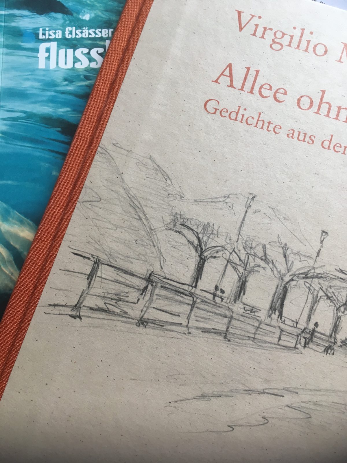 Von Bäumen und Meeren