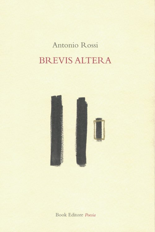 Brevis altera