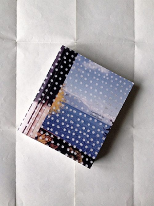 Carnet(s) du lac
