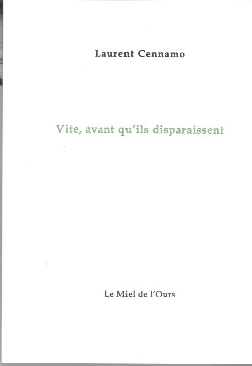 Vite, avant qu'ils disparaissent