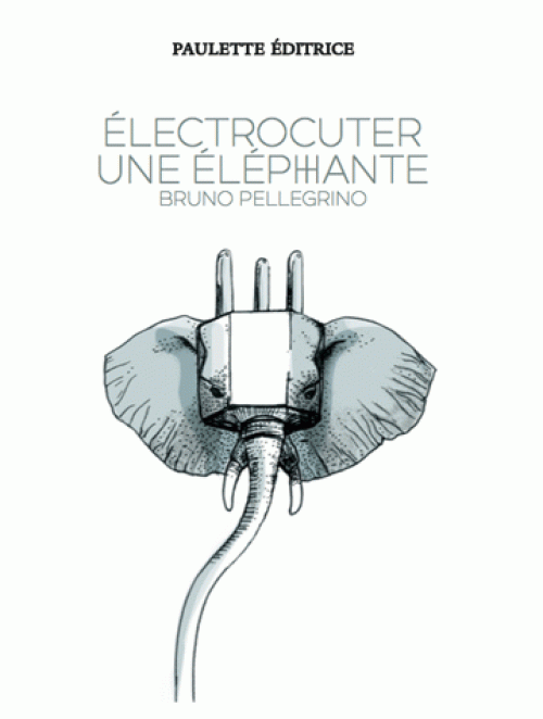 Électrocuter une éléphante