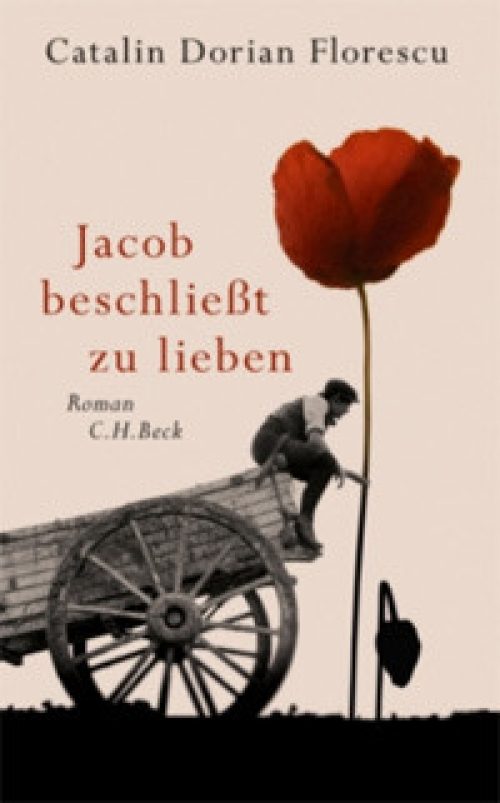 Jacob beschliesst zu lieben