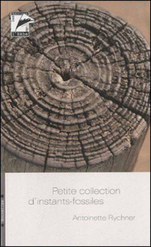 Petite collection d'instants-fossiles
