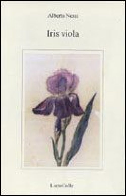 Iris viola