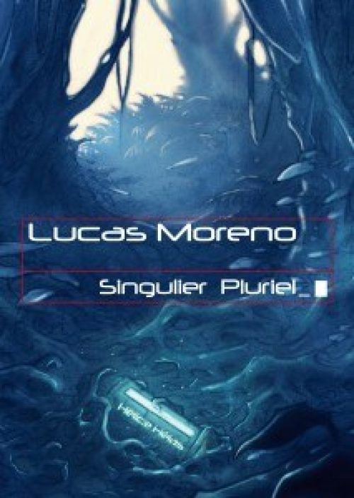 Singulier Pluriel